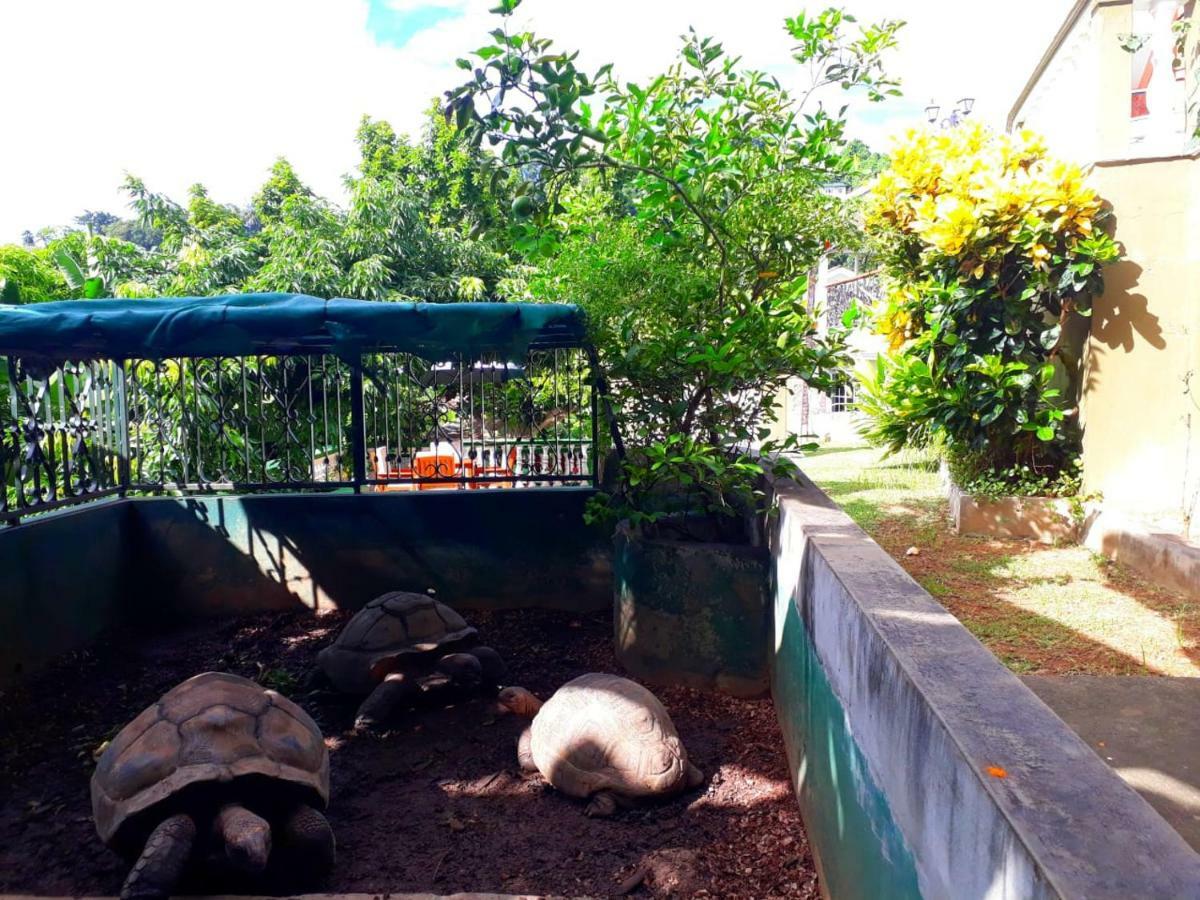 빅토리아 Hibiscus House Seychelles Self Catering 아파트 외부 사진