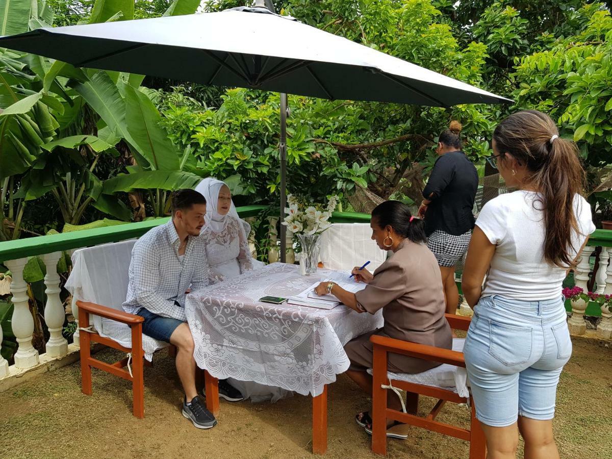 빅토리아 Hibiscus House Seychelles Self Catering 아파트 외부 사진